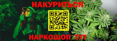 крисы Заводоуковск