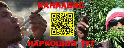 крисы Заводоуковск