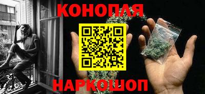 крисы Заводоуковск