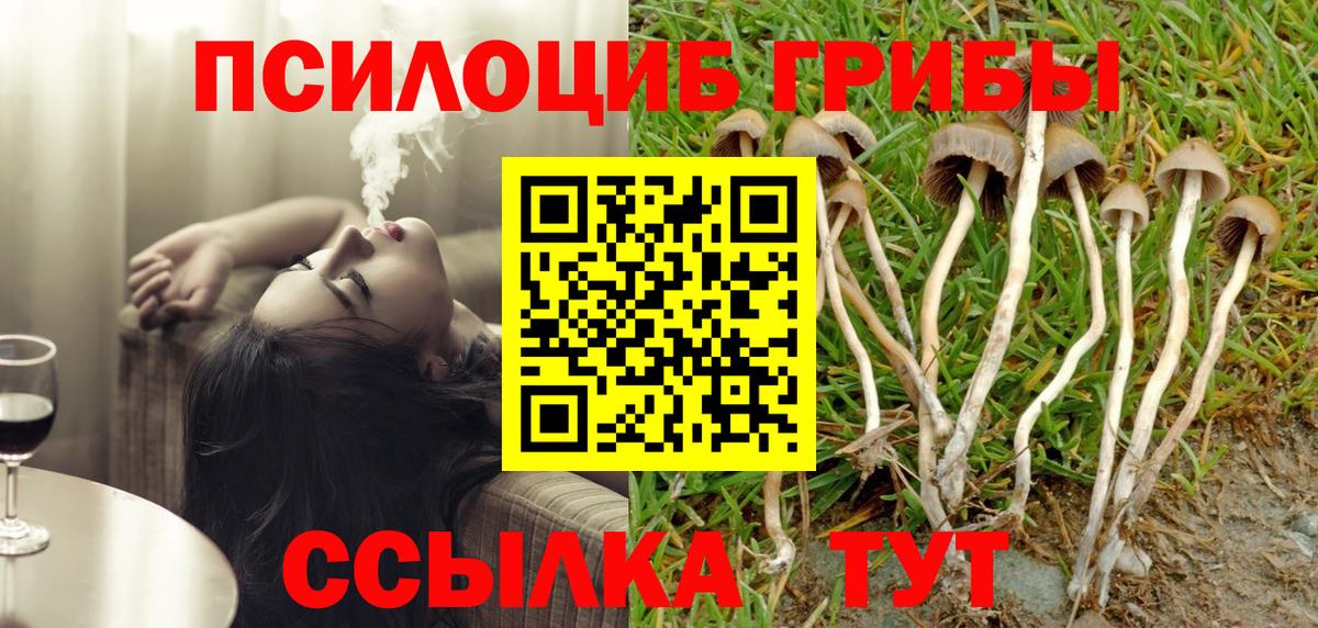 наркошоп  Вход с VPN  Каменск-Уральский  Псилоцибиновые грибы Psilocybe  Псилоцибиновые грибы GOLDEN TEACHER 